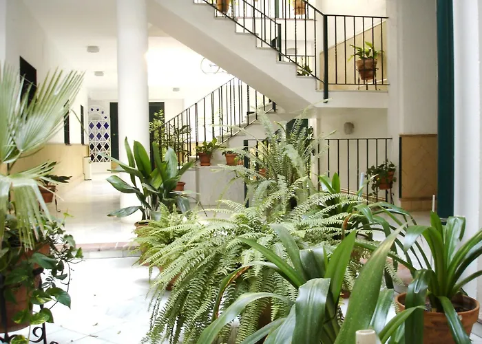 Archeros Suite