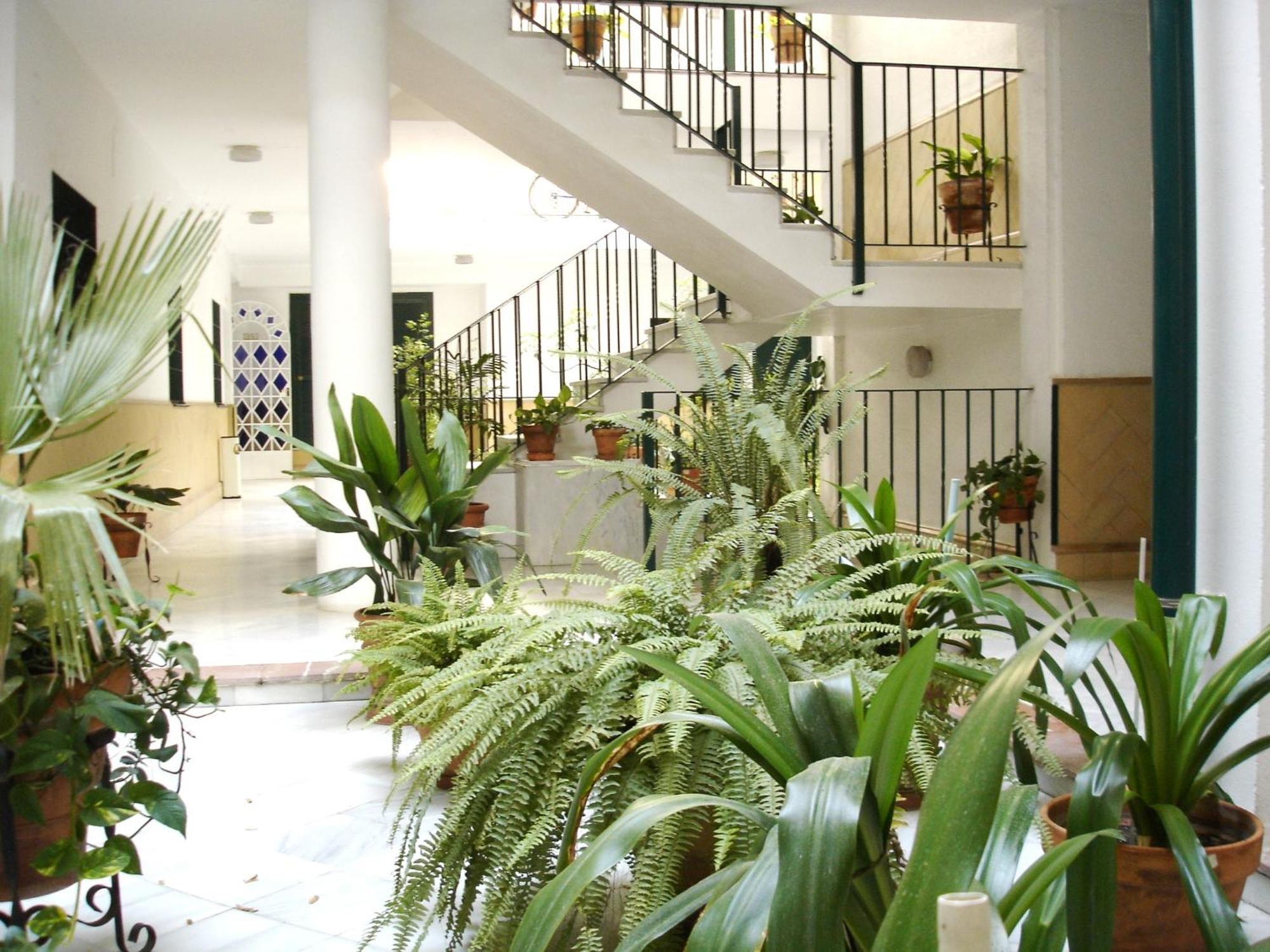 Apartment Archeros *